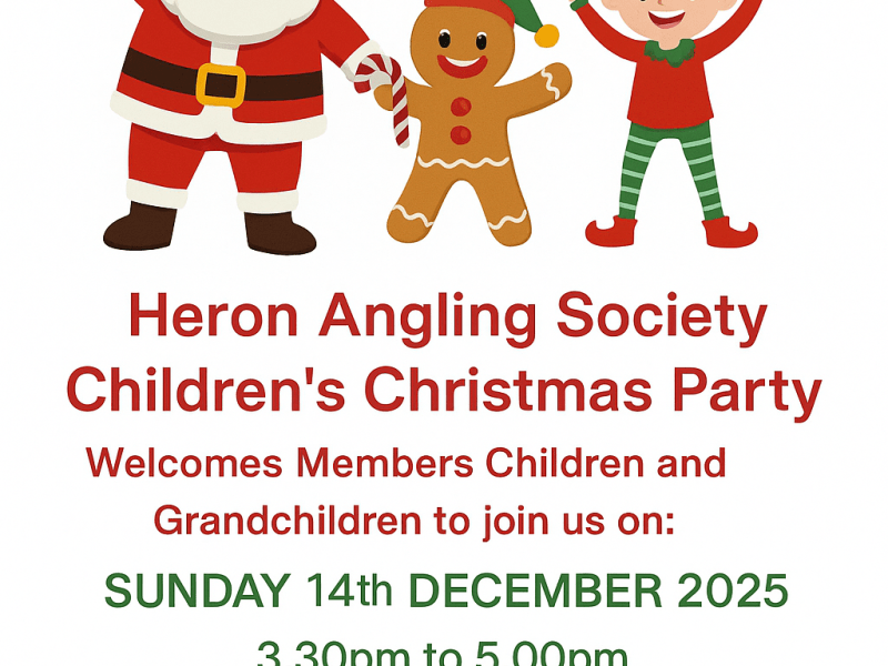 Childrens Christmas Party